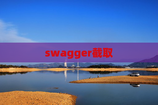 swagger截取